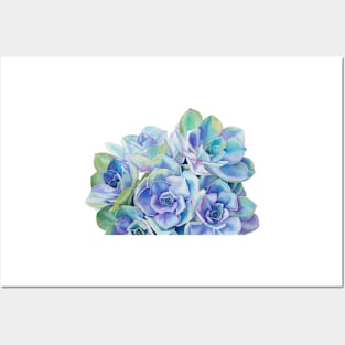 Blue and green succulents in watercolor Posters and Art